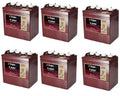 Deep Cycle 8V Battery, 6-Pack (T-890)