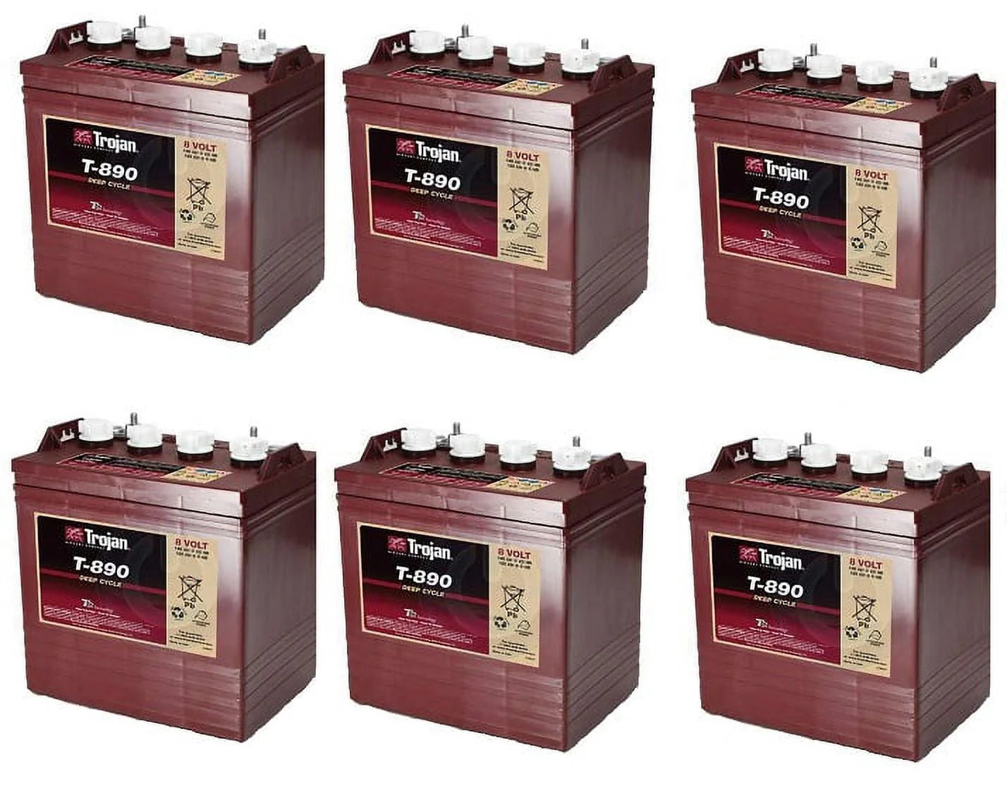 Deep Cycle 8V Battery, 6-Pack (T-890)